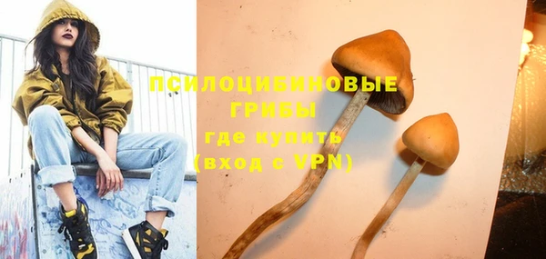 дживик Бронницы