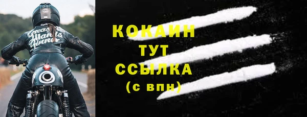 дживик Бронницы