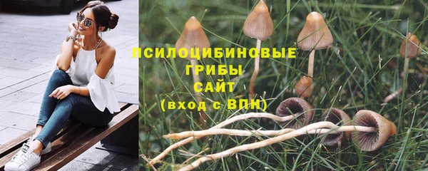 МДМА Бородино