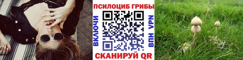 Псилоцибиновые грибы Psilocybe  Дагестанские Огни 